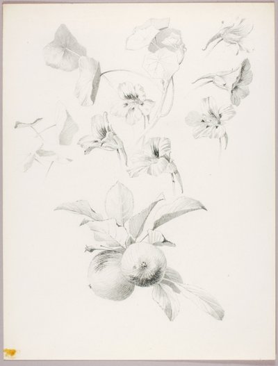  by George Elbert Burr