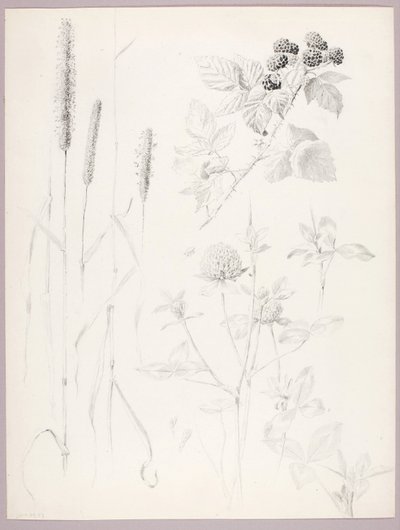  by George Elbert Burr