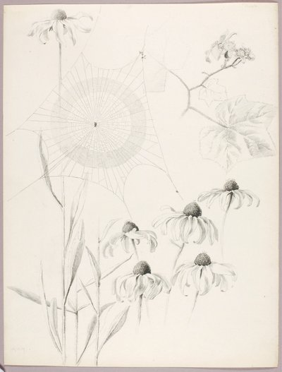  by George Elbert Burr