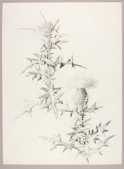  by George Elbert Burr