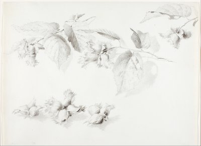  by George Elbert Burr