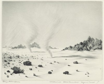 Kasırgalar, Ölü Dağlar, Mojave Çölü, California by George Elbert Burr