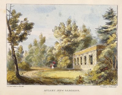 Aviary, Kew Gardens, Kew Gardens'dan levha 10: Charles Hullmandel (1789-1850) tarafından oyulmuş Taş Üzerine Yirmi Dört Çizim Serisi, 1820'de yayınlandı (el boyaması taş) by George Ernest after Papendiek