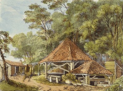 Su İşleri, Kew Bahçeleri, Kew Bahçeleri