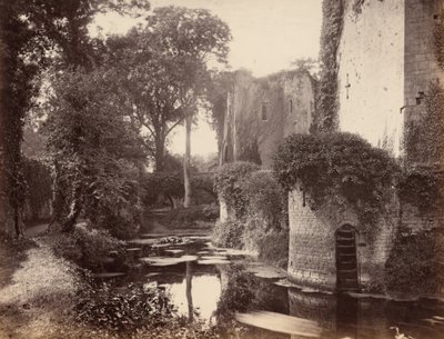  by George Esq. Shadbolt