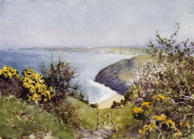 Carbis Bay (renkli taş) by George Franck Nicholls