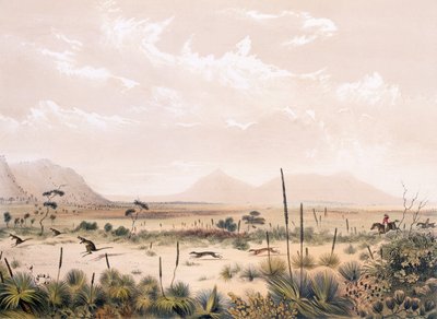 kanguru avı by George French Angas