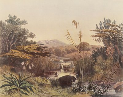Alacakaranlıkta Umnonoti Nehri by George French Angas