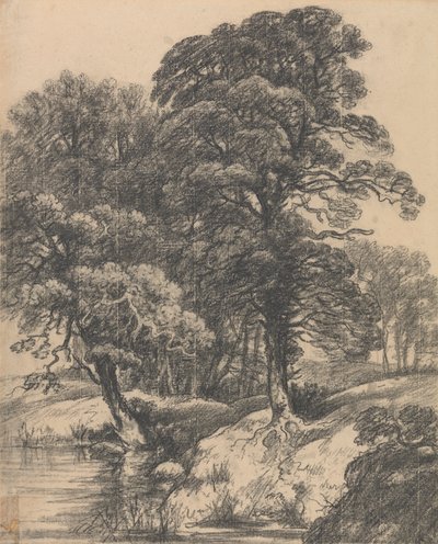Havuzlu Ormanlık Bir Manzara by George Frost