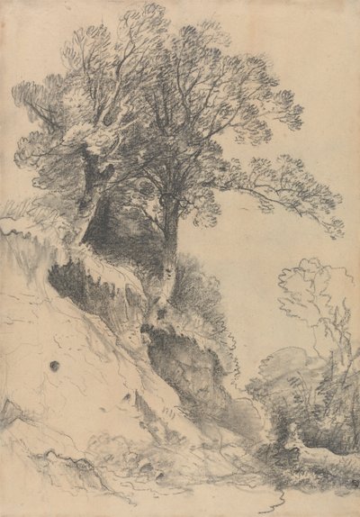 Ufalanan Bir Bankadaki Ağaçlar by George Frost
