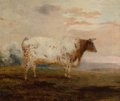 Juno, Geniş Bir Peyzajda Kırmızı Kısa Boynuzlu Bir İnek (petrol) by George Garrard