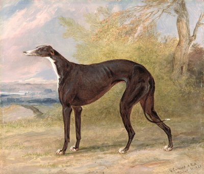 George Lane Fox