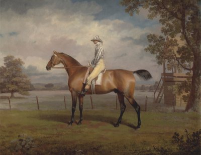 Bir Yarış Atı Portresi, Muhtemelen Kılık değiştirmiş, Hamilton Dükü'nün Malı, Jokey Yukarı ile by George Garrard