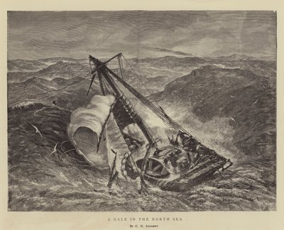Kuzey Denizi'nde Bir Fırtına by George Henry Andrews