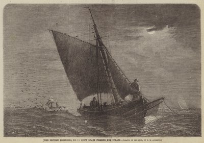 The British Fisheries, No 3, Stow Boats, hamsi balığı avlıyor by George Henry Andrews
