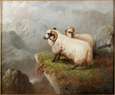 Uçurumun Kenarında Koyun, c.1865-68 by George Hepper