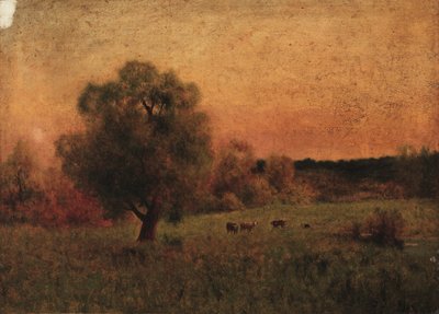Tarladaki İnekler, 1956
