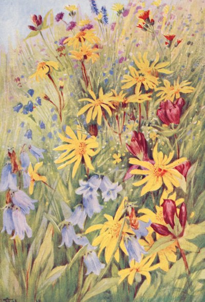  by George Jackson Flemwell