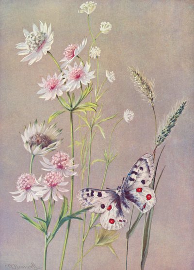  by George Jackson Flemwell