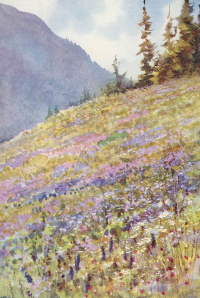  by George Jackson Flemwell
