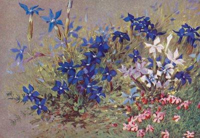  by George Jackson Flemwell
