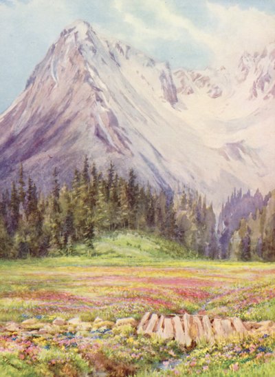  by George Jackson Flemwell