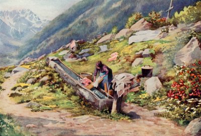 Chamonix Vadisi