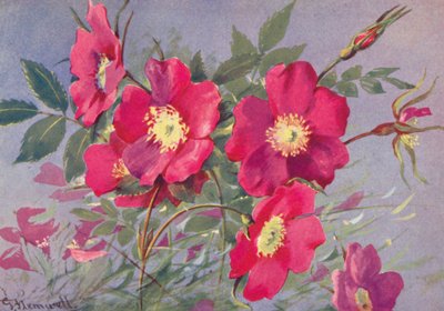 by George Jackson Flemwell