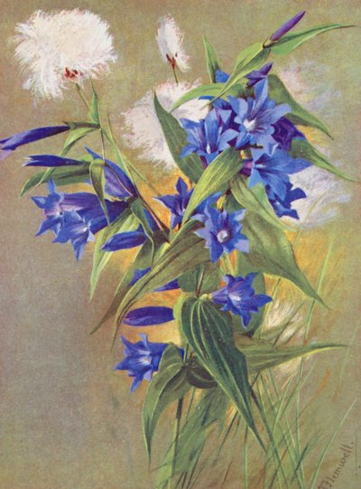  by George Jackson Flemwell