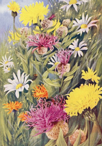  by George Jackson Flemwell