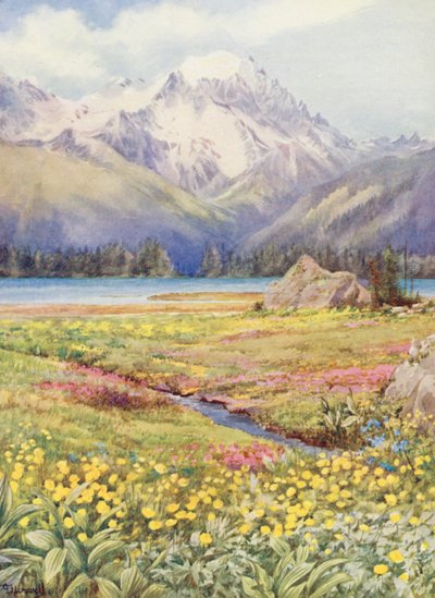  by George Jackson Flemwell