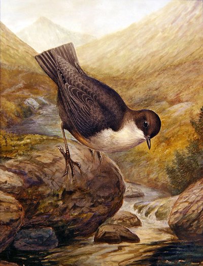 Kepçe (kağıt üzerine sulu boya) by George James Rankin