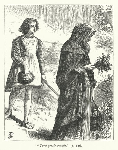 Hermit için İllüstrasyon (gravür) by George John Pinwell
