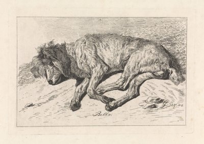 Uyuyan köpek Bello (nesne üzerindeki başlık) by George Jooss