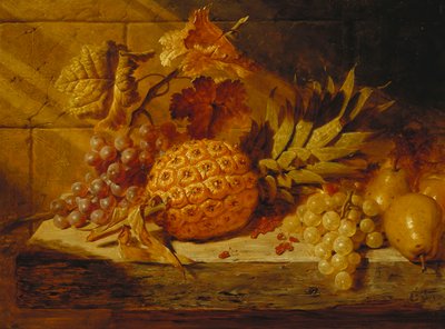 Siyah Beyaz Üzüm, Armut, Frenk Üzümü ve Çıkıntıda Ananas, 1845 by George Lance