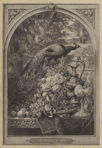 Evdeki Tavus Kuşu by George Lance