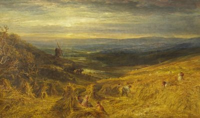 Bir Surrey Cornfield, 1877 dolayları (tuval üzerine yağlı boya) by George Lucas
