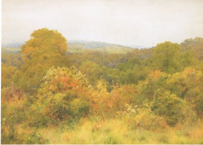 Doğanın bahçesi by George Marks