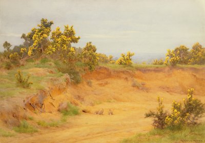 Tavşan Warren, Shere, Surrey by George Marks