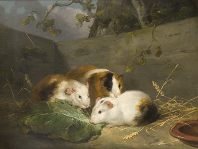 Gine Domuzları by George Morland
