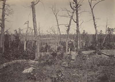 Resacca Savaş Alanı, Georgia No. 3, 1860