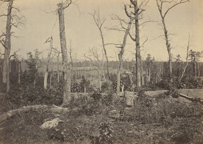 Resaca Savaş Alanı, Georgia, No 3,1864 (fotoğraf) by George N. Barnard