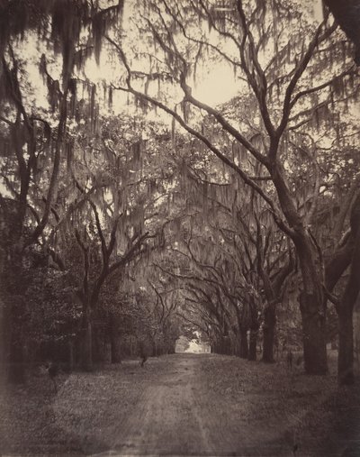 Bonaventure Mezarlığı, Savannah