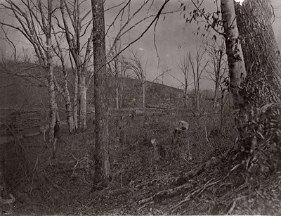Boğa Koşusu, Virginia, 1861-62. by George N. Barnard