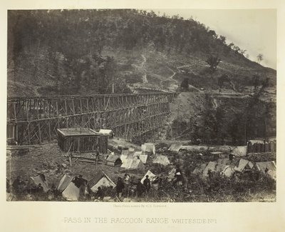 Raccoon Range