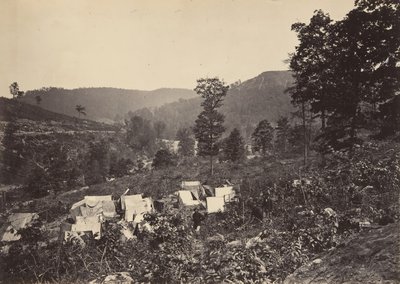 Raccoon Range