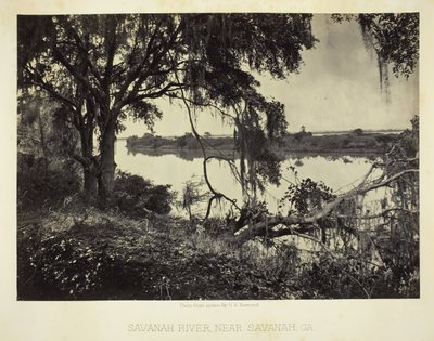 Savannah Nehri yakınında, Savannah, GA, 1866. by George N. Barnard