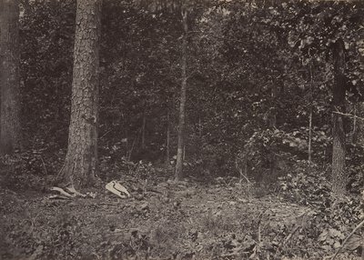 General McPherson