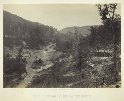 Köprünün altındaki Whiteside Vadisi, 1864. by George N. Barnard