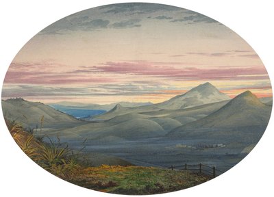 Otago manzara by George OBrien
